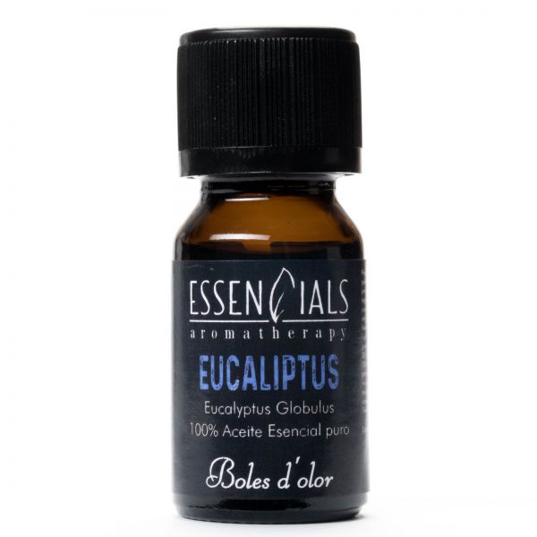Eucaliptus – Brumas esenciales
