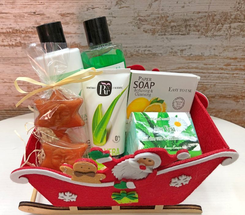 CESTA REGALO NAVIDAD ALOE VERA