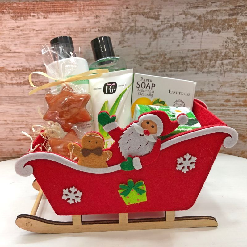 cesta regalo navidad aloe vera