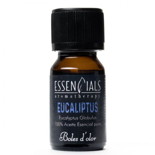 Eucaliptus – Brumas esenciales